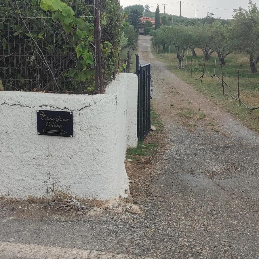 Olive Grove Cottage Skalani Knossós Eksteriør billede